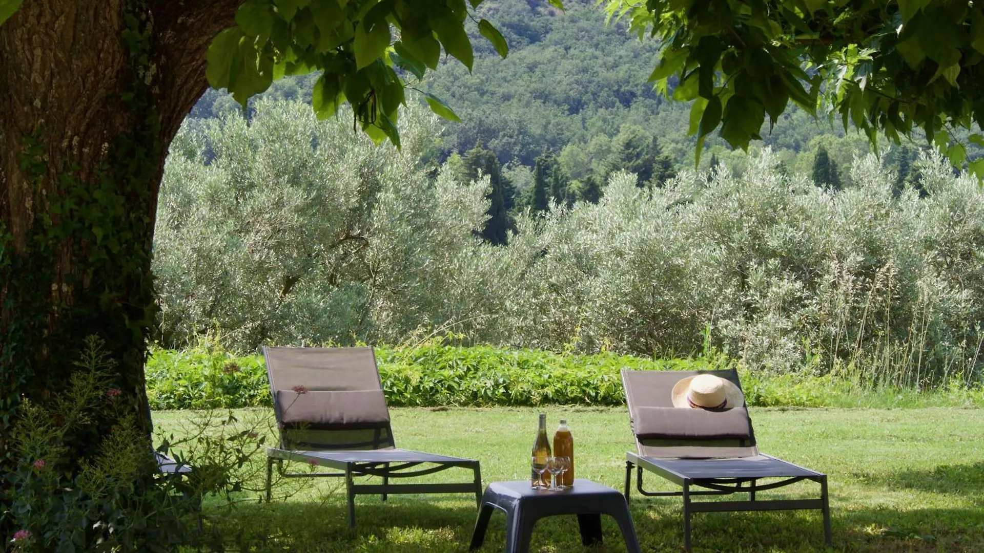 Gite Villa Des Sources Les Granges-Gontardes France